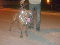 ardo_20211130_1908624515